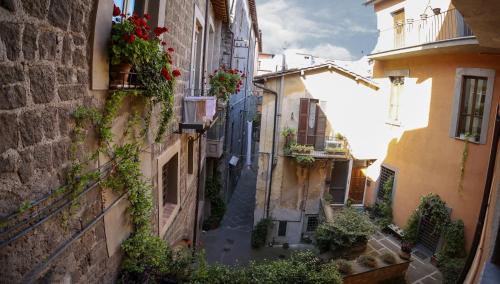 La Rosa Scarlatta – Photos 3