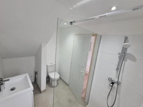 biała łazienka z prysznicem i toaletą w obiekcie Studio neuf à Barcelonnette w mieście Barcelonnette