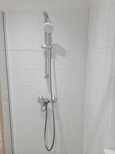 une douche avec pommeau de douche dans une salle de bain dans l'établissement Studio neuf à Barcelonnette, à Barcelonnette