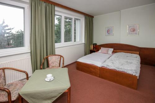 una camera con letto, tavolo e finestra di Hotel-Pension KAMÝK a Praga