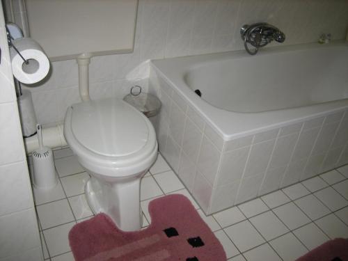 bagno con servizi igienici, vasca e tappeto rosa di B&B Ans en Ben Streppel a Twello