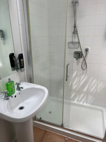 a bathroom with a sink and a shower at Loughrea Lodge Kilrush County Clare V15 NX53 in Kilrush