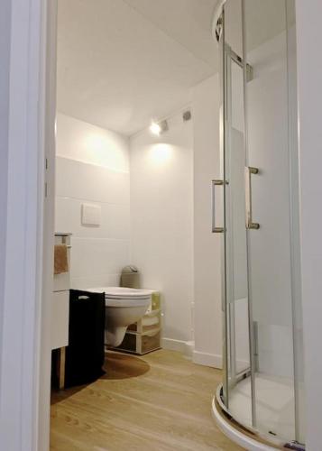 une salle de bain avec toilettes et douche en verre dans l'établissement Charmante maison T2 au Centre de Bordeaux, à Bordeaux