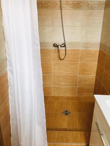 a shower with a shower curtain in a bathroom at Villa Luef in Mönichkirchen