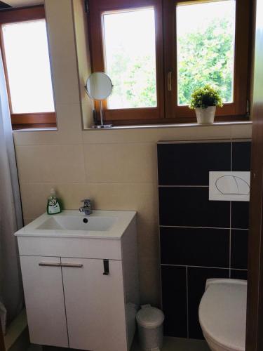 La salle de bains est pourvue d'un lavabo, de toilettes et de 2 fenêtres. dans l'établissement Villa Luef, à Mönichkirchen