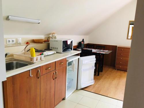 a kitchen with a sink and a microwave at Villa Luef in Mönichkirchen
