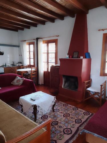 a living room with a couch and a fireplace at Arka Metsovo in Metsovo