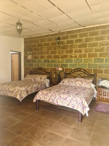 two beds in a room with a brick wall at Finca Los Angeles Hospederia & Sociales in Huasca de Ocampo