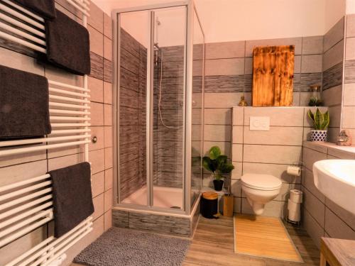 a bathroom with a shower and a toilet and a sink at #211 LUX-Appart - Zentrum Neuss - Düsseldorf Messe - Netflix & Prime in Neuss