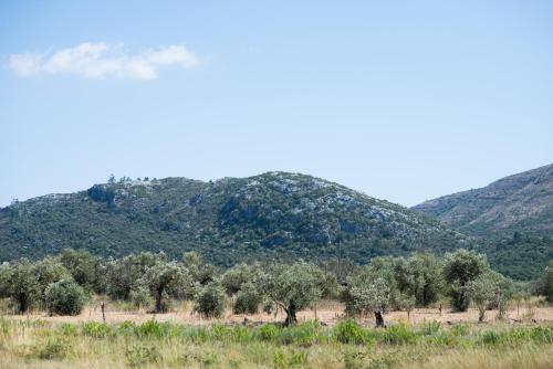 Φυσικό τοπίο κοντά σε αυτό το bed & breakfast