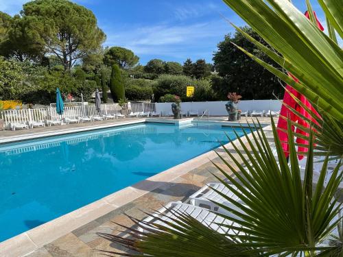 - une piscine avec des chaises et un palmier dans l'établissement Camping la Paoute, à Grasse