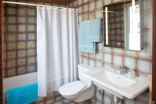 bagno con servizi igienici, lavandino e specchio di Neptun 2 (im Zentrum von Bad Ragaz) a Bad Ragaz