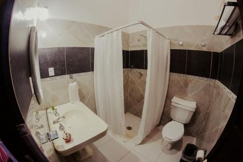 La salle de bains est pourvue d'un lavabo, de toilettes et d'une douche. dans l'établissement GRAN ALCÁZAR HOTEL BOUTIQUE, à San Luis Potosí