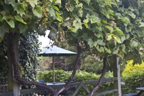 a table with an umbrella under a tree at Best Western Limpley Stoke Hotel in Bath