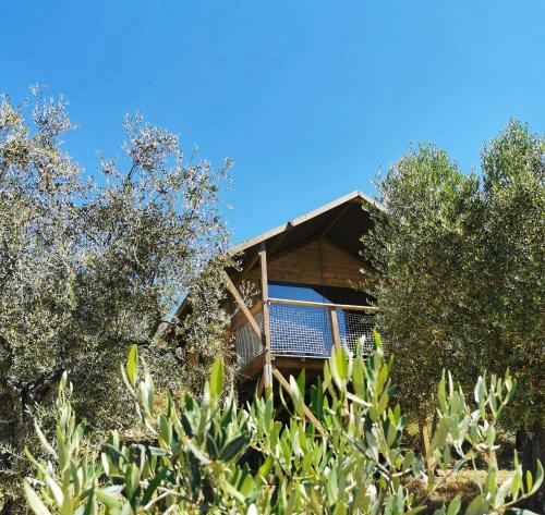 Glamping CirelliWines Abruzzo – Photos 2