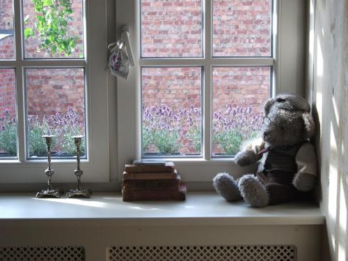 Afbeelding uit fotogalerij van Apartment Het Demerhuisje in Hasselt