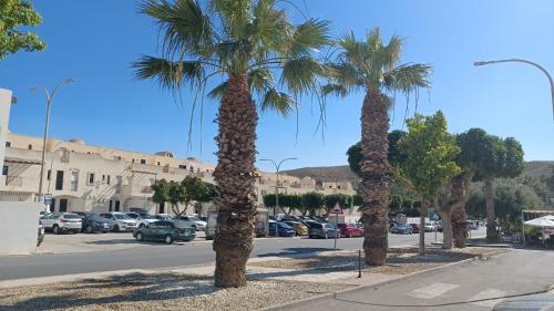 a group of palm trees on the side of a street at CASA DEL PEZ Vivienda a pie de calle en Agua Amarga a 250 metros de la playa in Agua Amarga