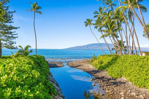 a creek with palm trees and the ocean at Puamana 30-2 in Lahaina