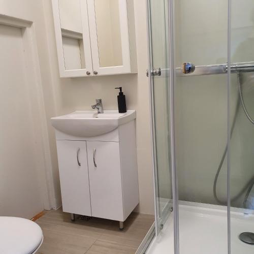 a bathroom with a sink and a shower at E18 Apartments in Akureyri