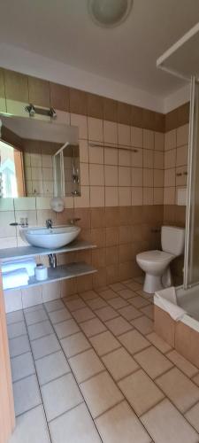 a bathroom with a sink and a toilet at Siedlisko Agroturystyczne in Mrągowo