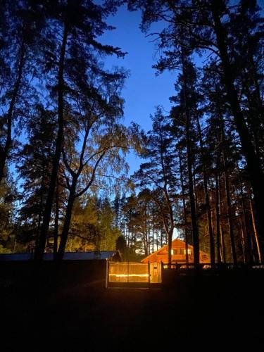 a building in the middle of a forest at night at Forest and Lake in Borovoye