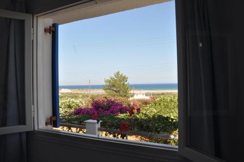 a window with a view of a garden and the ocean at Zeus Apartments in Xerokampos