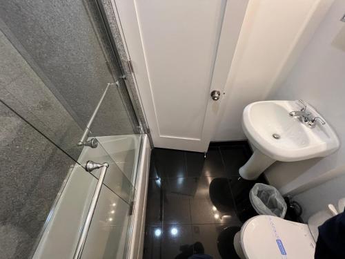 a bathroom with a sink and a toilet and a shower at 31 Street Broadway Hotel in New York