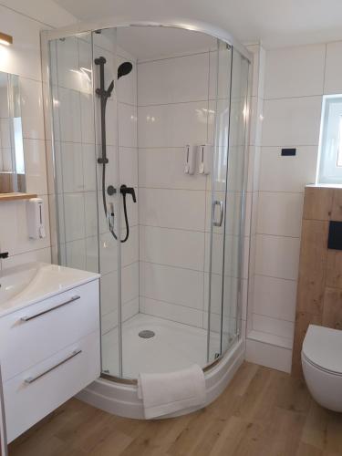 a glass shower in a bathroom with a toilet at Pokoje Podzamcze in Stare Drawsko