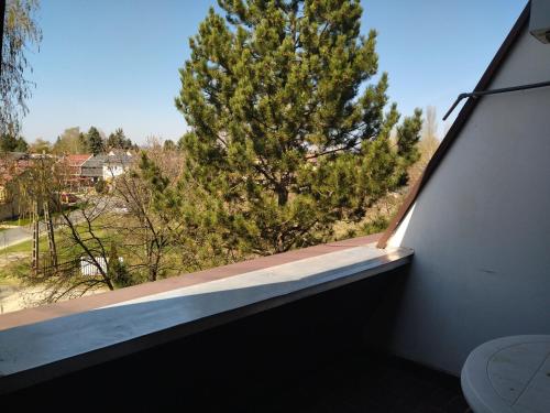 Viking Hotelにあるバルコニーまたはテラス