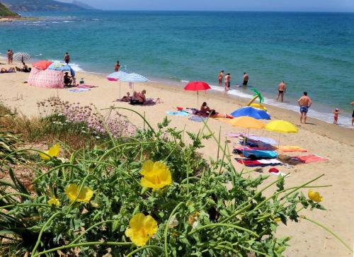 a group of people on a beach with umbrellas at Sa Fiorida Appartamenti in Valledoria