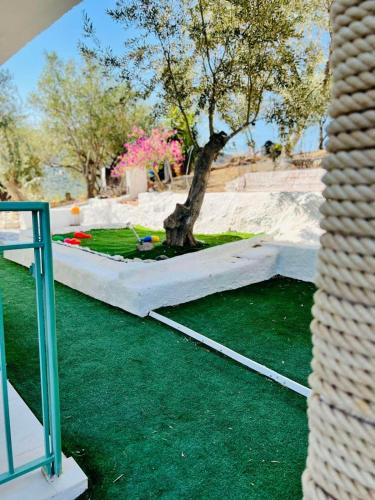a tree in a park with green grass at Holiday House Ermionida in Thermisia