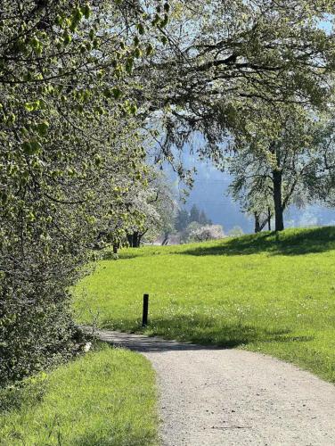 a dirt road leading into a field with trees at Gasthof - Auszeit im Bad Diezlings - Adults only in Hörbranz