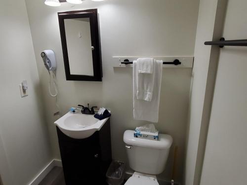 a bathroom with a toilet and a sink and a mirror at Windrifter Resort in Wolfeboro