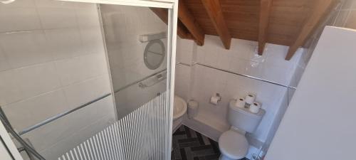 a small bathroom with a toilet and a shower at The Crumplehorn Inn & Mill in Polperro