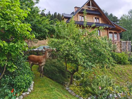 a deer standing next to a tree in front of a house at Przystań Gromadzyń in Ustrzyki Dolne