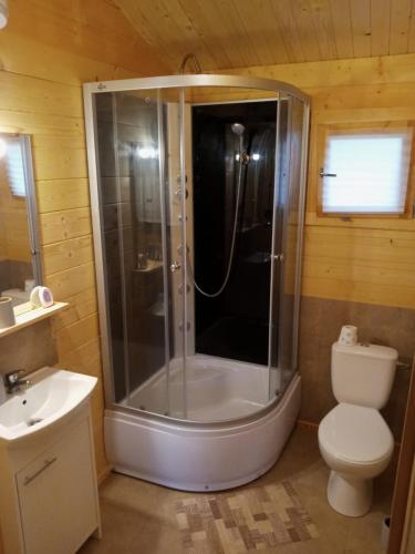 a bathroom with a shower with a toilet and a sink at Domki u Szreka in Kołczewo