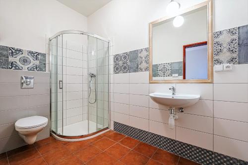 a bathroom with a shower and a toilet and a sink at Zbirožský dvůr in Zbiroh