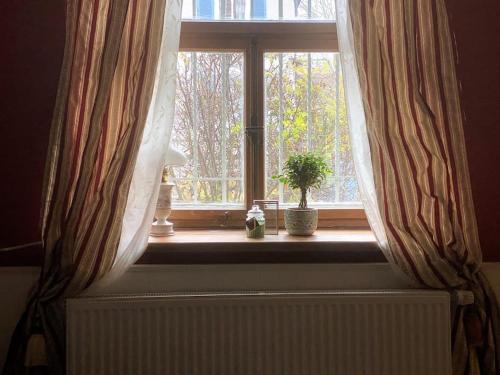 una ventana con cortinas y una maceta en un radiador en Stadtvilla Jelena Mengen, en Mengen