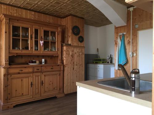 a kitchen with wooden cabinets and a sink at Ferienwohnung Vogelschar Urlaub auf dem Lebenshof in Kiebitz