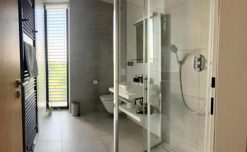 y baño con ducha, lavabo y aseo. en Penzion Zahradní, en Česká Skalice