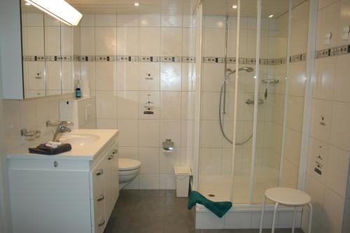 a bathroom with a shower and a toilet and a sink at BnB Mönthal im Jurapark in Mönthal 