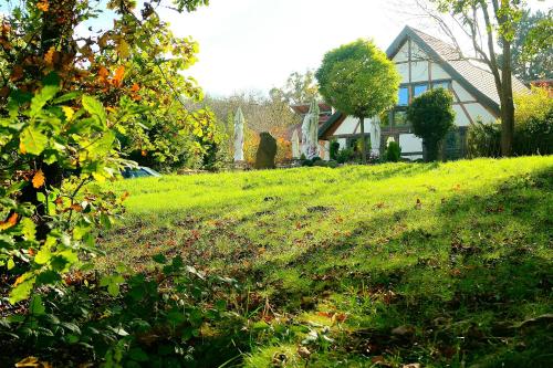 a house on a hill with a grassy yard at Landhaus Tonmühle in Ilsenburg