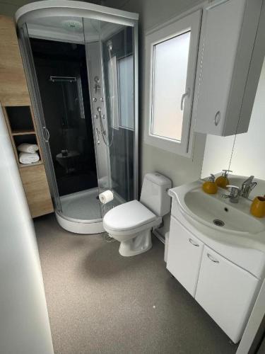 a bathroom with a toilet and a shower and a sink at Mobile home Privlaka in Privlaka