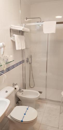a bathroom with a shower and a toilet and a sink at Hotel Naranjo De Bulnes in Arenas de Cabrales