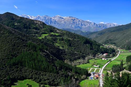 an aerial view of a valley in the mountains at Camping Liébana in Cabezón de Liébana