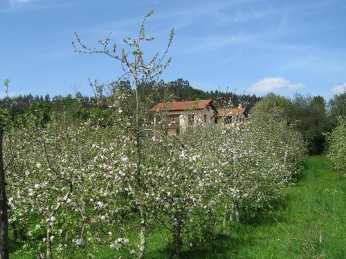 Κήπος έξω από το Quinta El Verxel - Ecoturismo