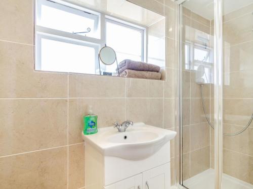 een badkamer met een wastafel, een douche en een spiegel bij Norbank Cottage in Bressingham