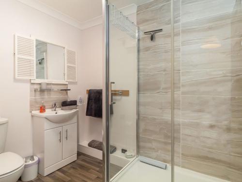 a bathroom with a shower with a toilet and a sink at Norbank Garden Studio in Bressingham