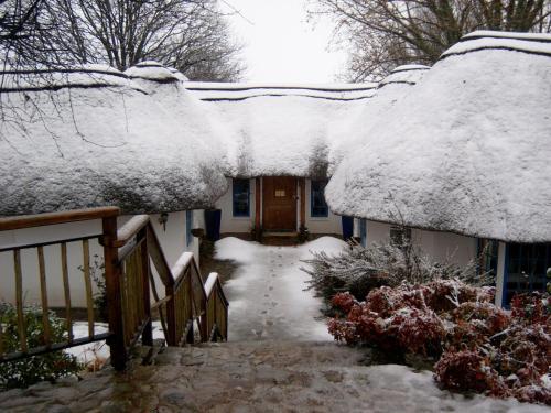 a house with snow covered roofs and a walkway at Waterford Manor in Rosetta