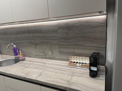 a kitchen counter with a sink and a counter top with a soap dispenser at Moghioros Park Residence Apartment in Bucharest